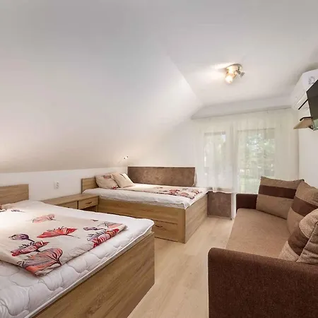 In 40847 Holiday home Balatonmariafurdo